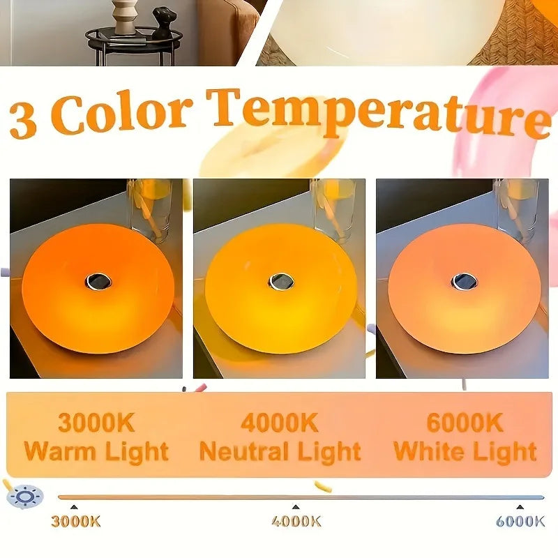 Halo Lamp